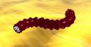 sand_worm_4.jpg