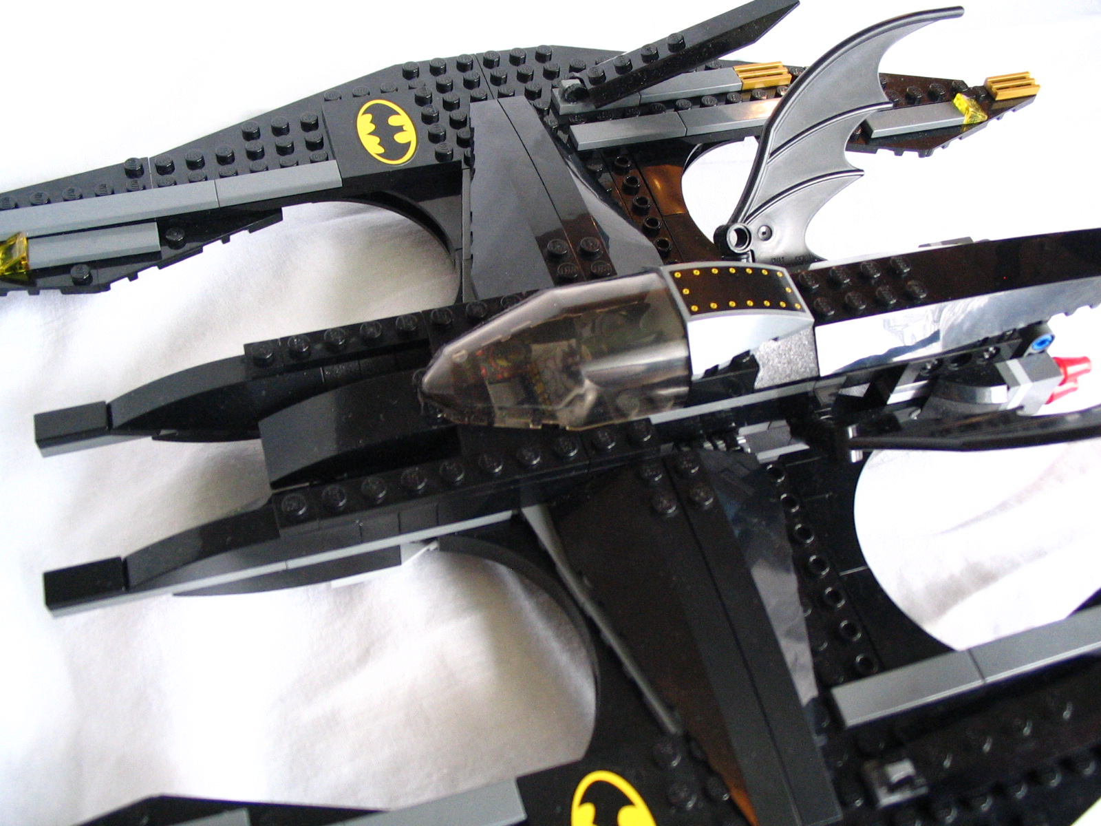 107_batwing.jpg