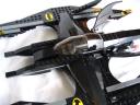107_batwing.jpg