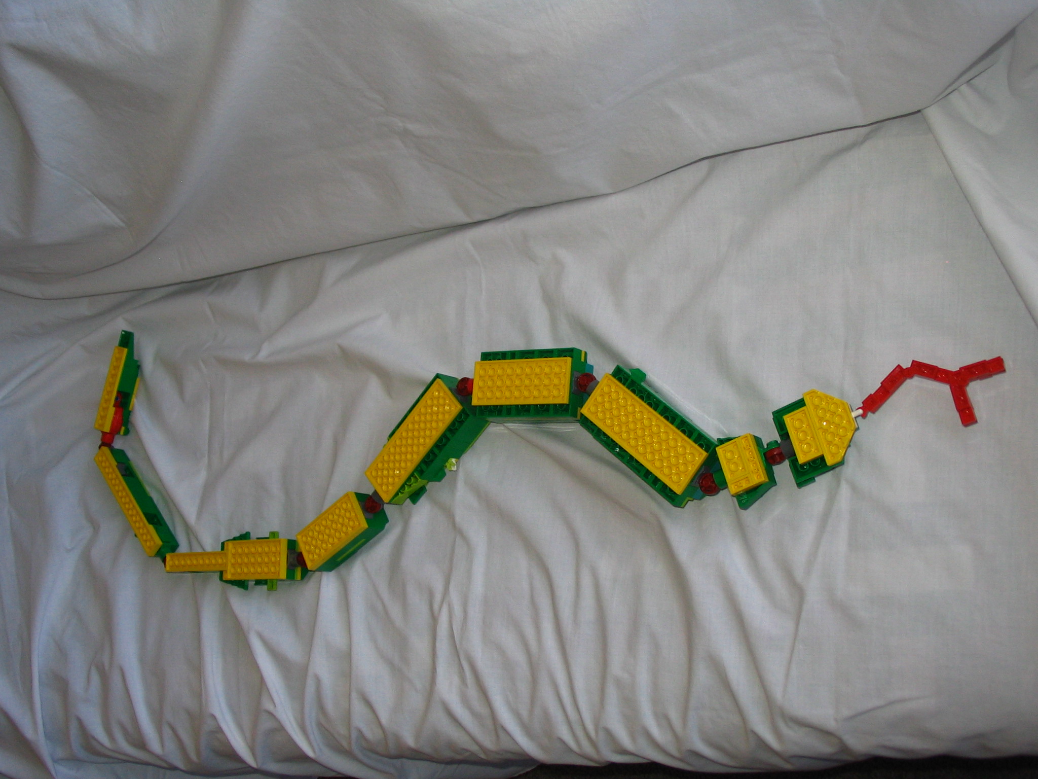 snake_102.jpg