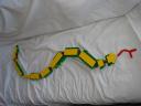 snake_102.jpg