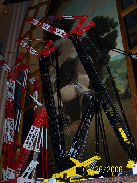 cranes4.jpg