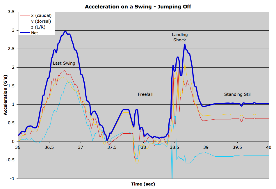 swing-jump.png