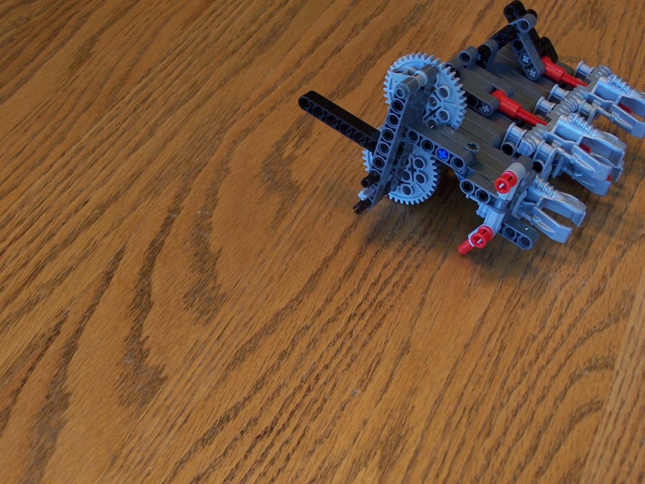 d50.jpg