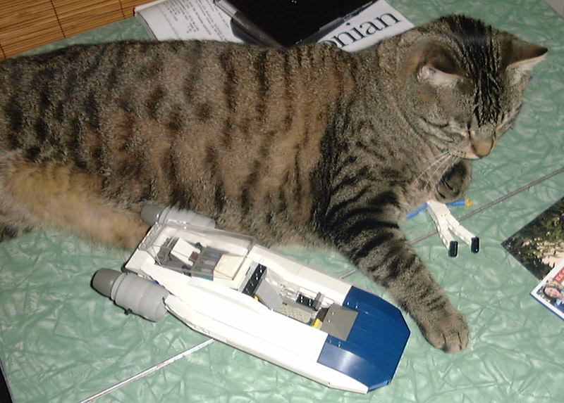airspeeder_cat_attack1.jpg