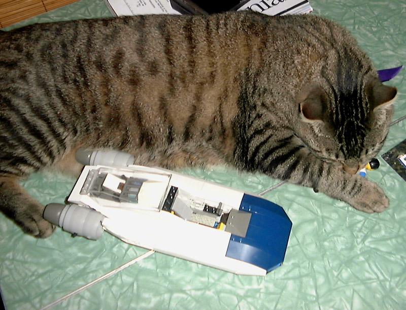 airspeeder_cat_attack2.jpg