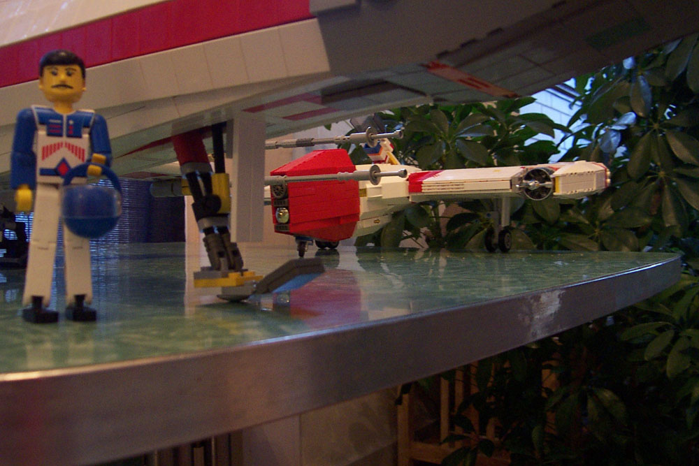 redtail_in_hanger.jpg