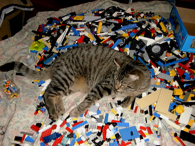 the_feared_space_cat.jpg