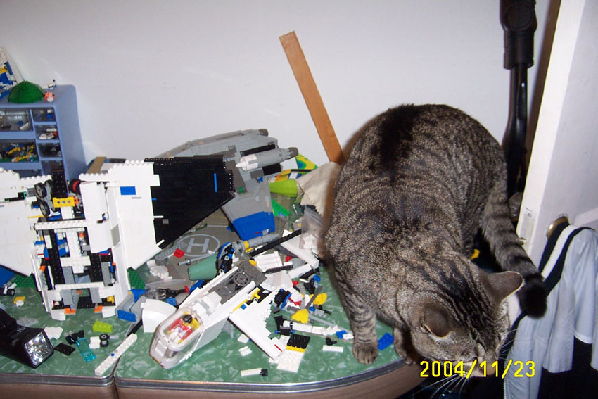 very_bad_space_cat.jpg