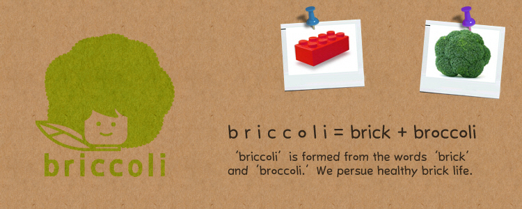 briccoli_head_en.jpg