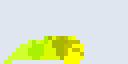 yellow_1stkraata.gif