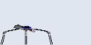 fikou_nui.gif