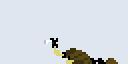 waikiru.gif