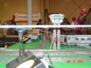 dsc01385.jpg