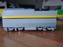 yellowbelly8.jpg