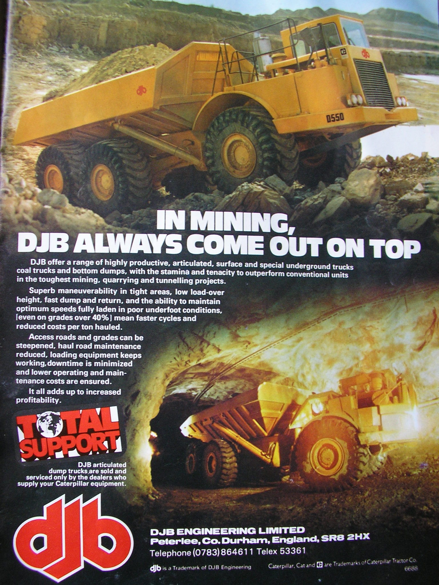 h-djb_50.jpg