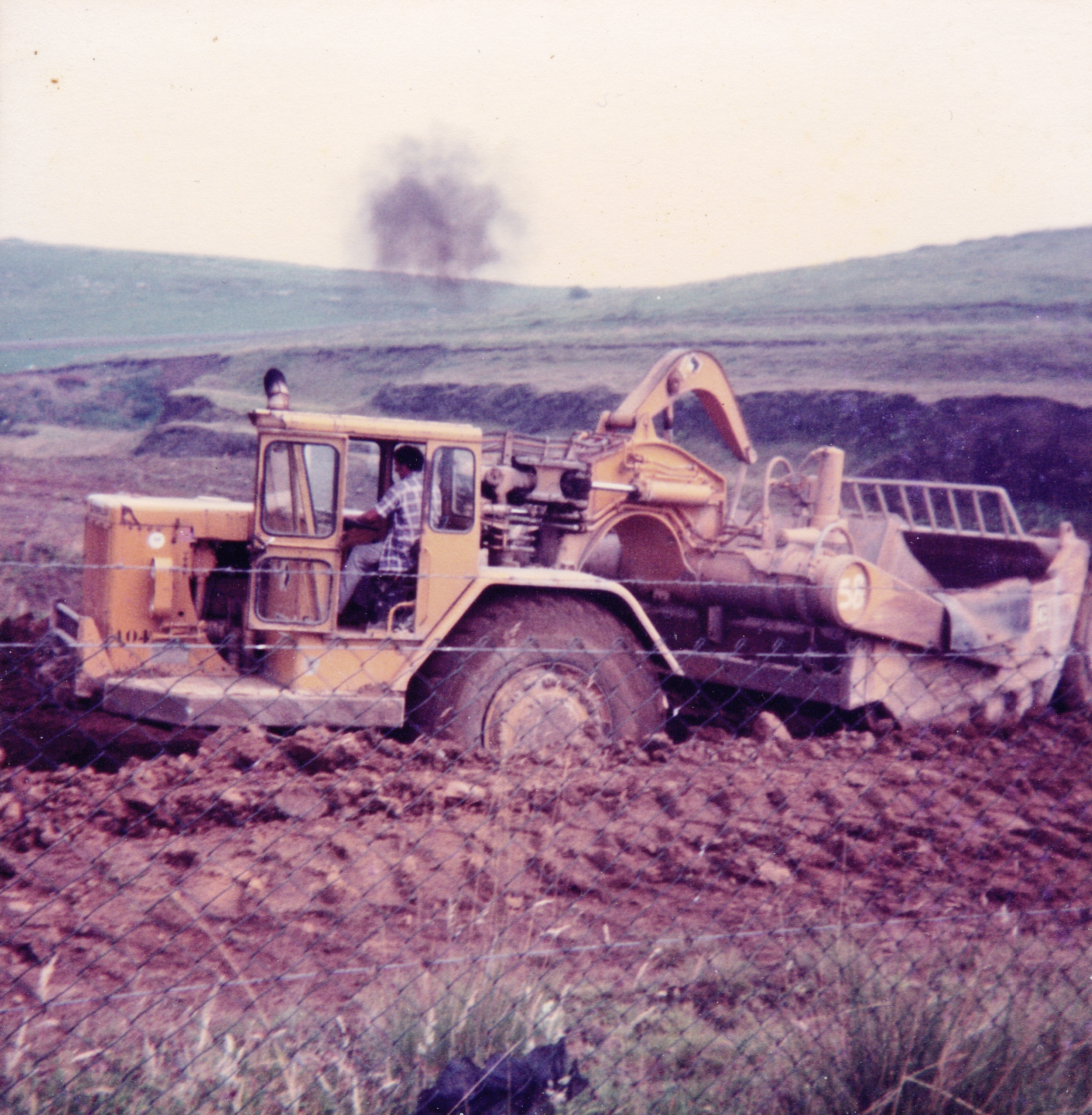 l-cat-631c.jpg