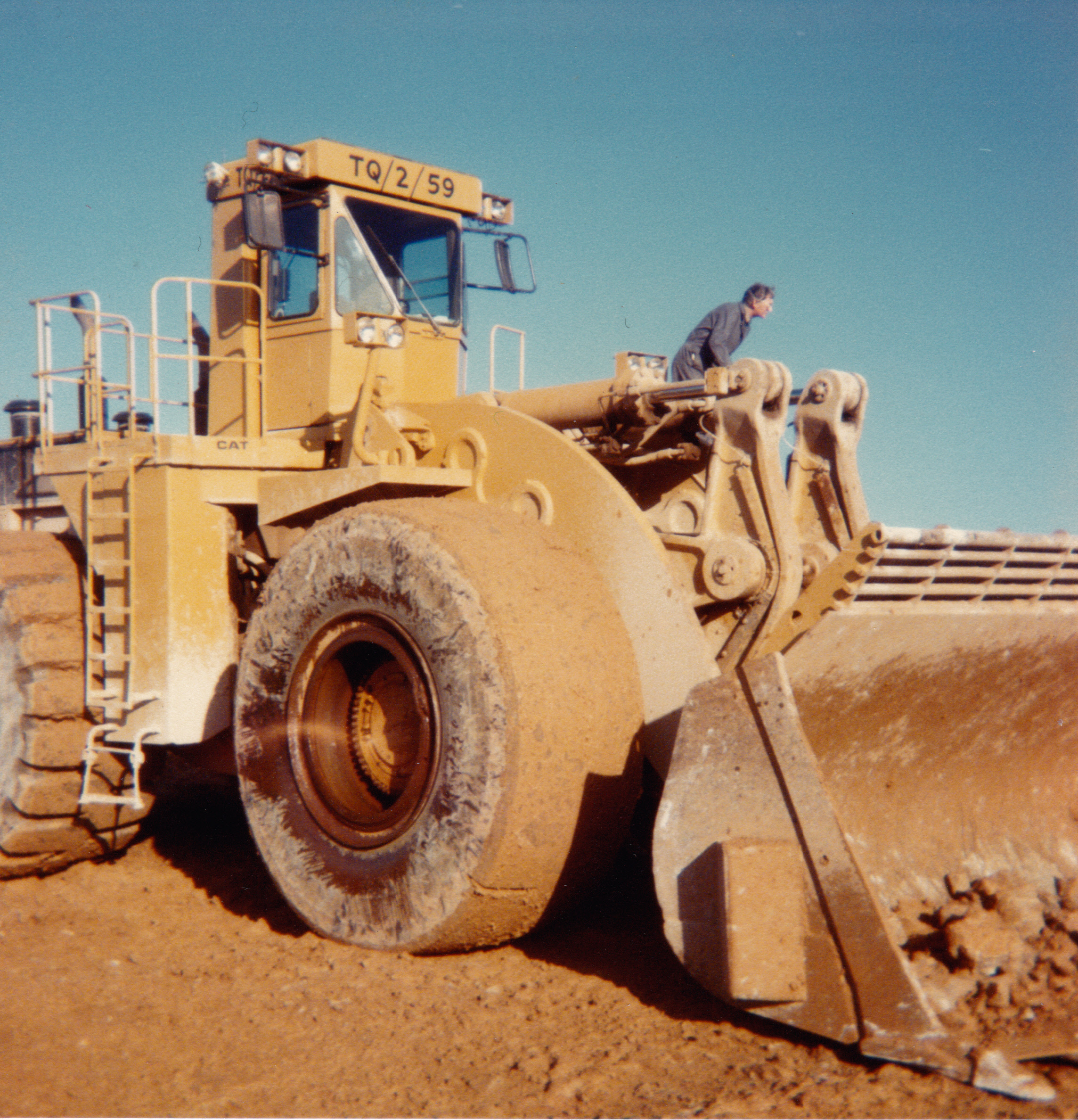 q-cat-992c.jpg
