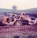 l-cat-631c.jpg