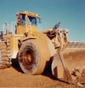 q-cat-992c.jpg