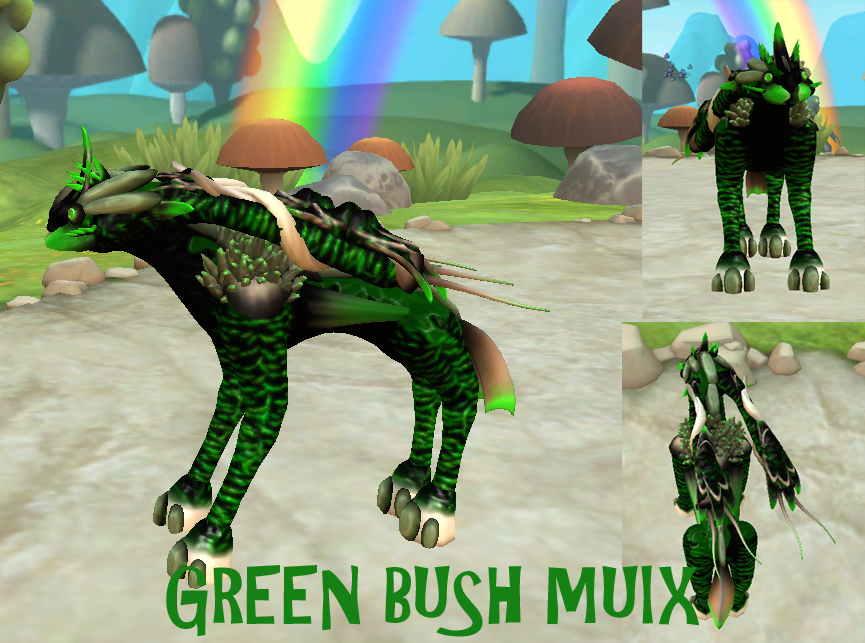 green_bush_muix_entry_picture.png