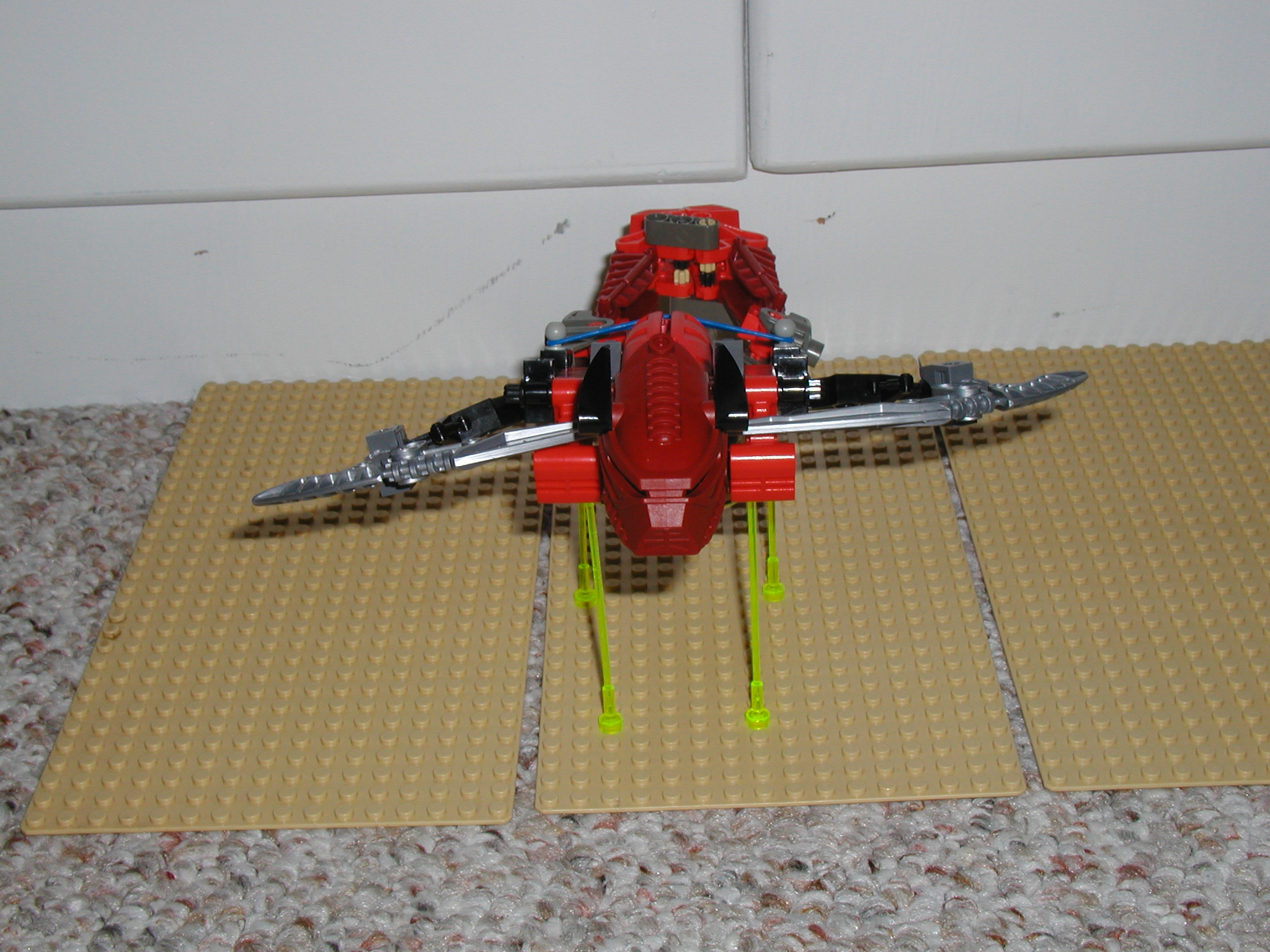 p1010081.jpg