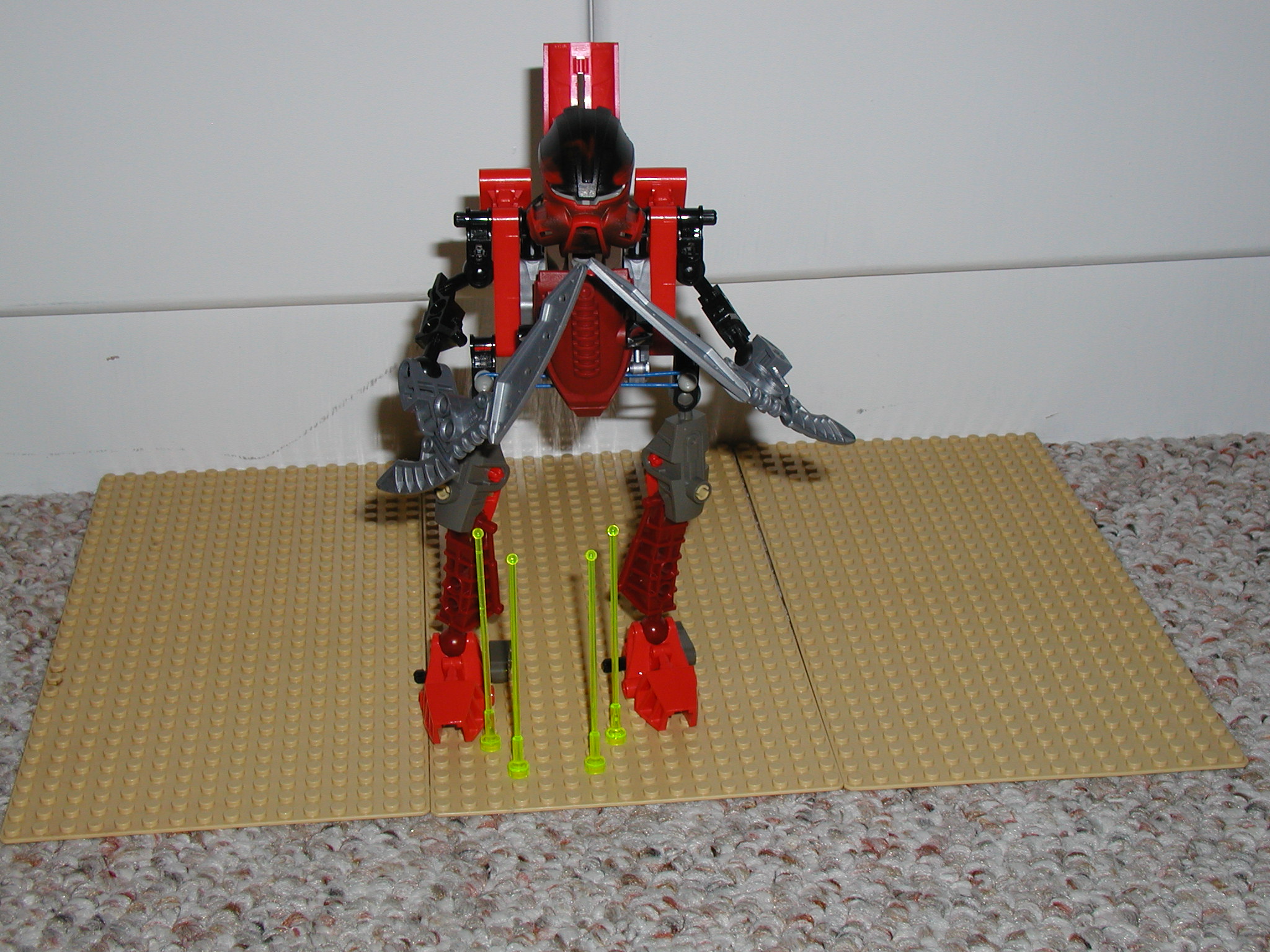 p1010086.jpg