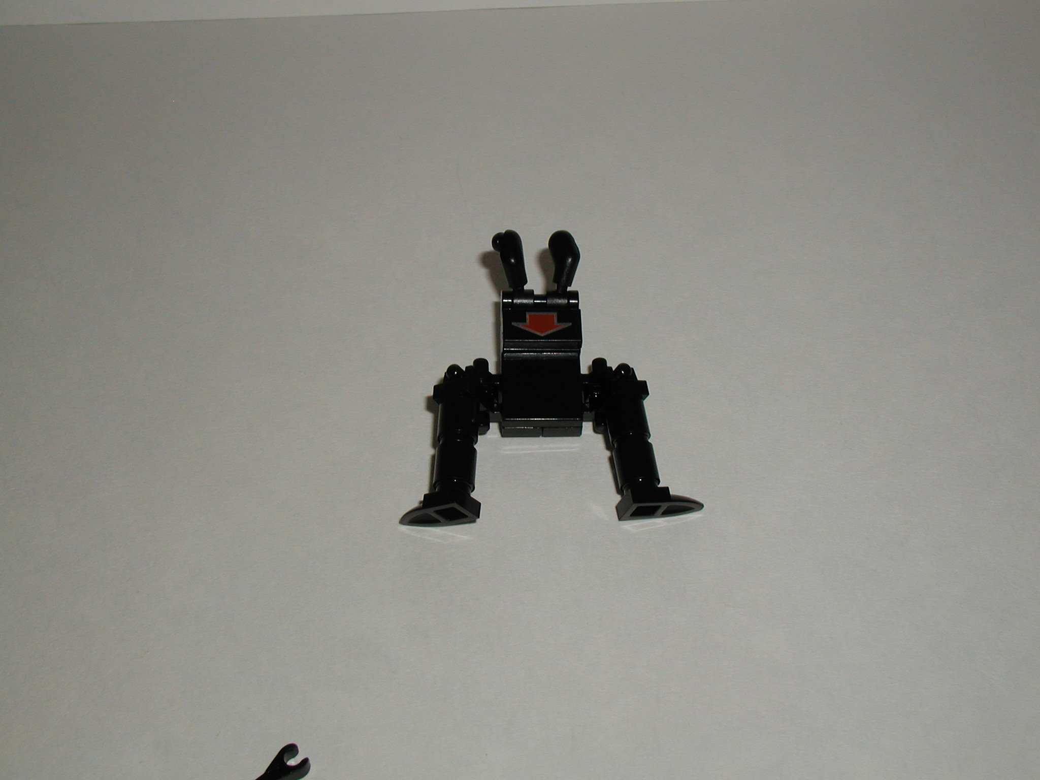 p1010157.jpg