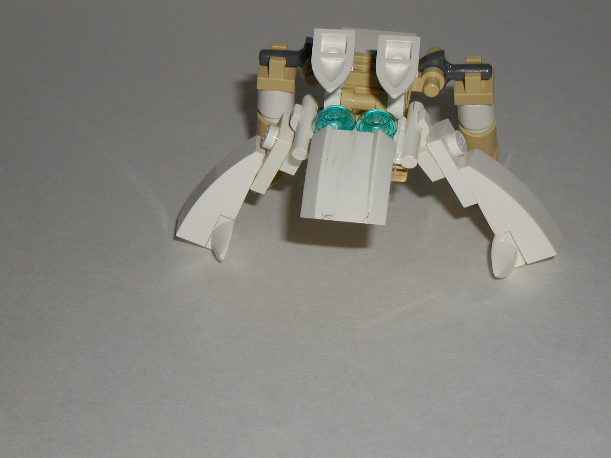 p1010139-1.jpg