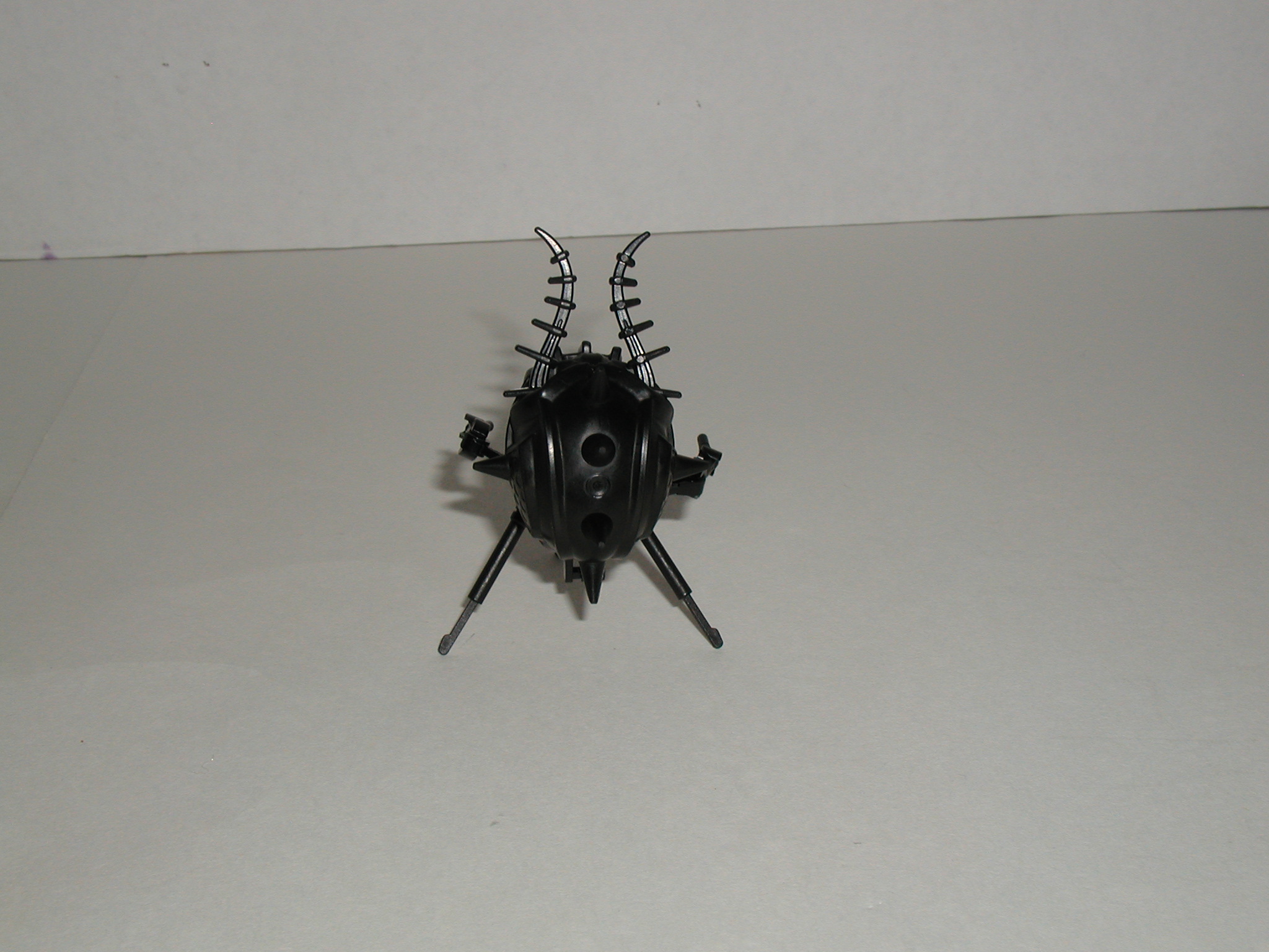 p1010343.jpg