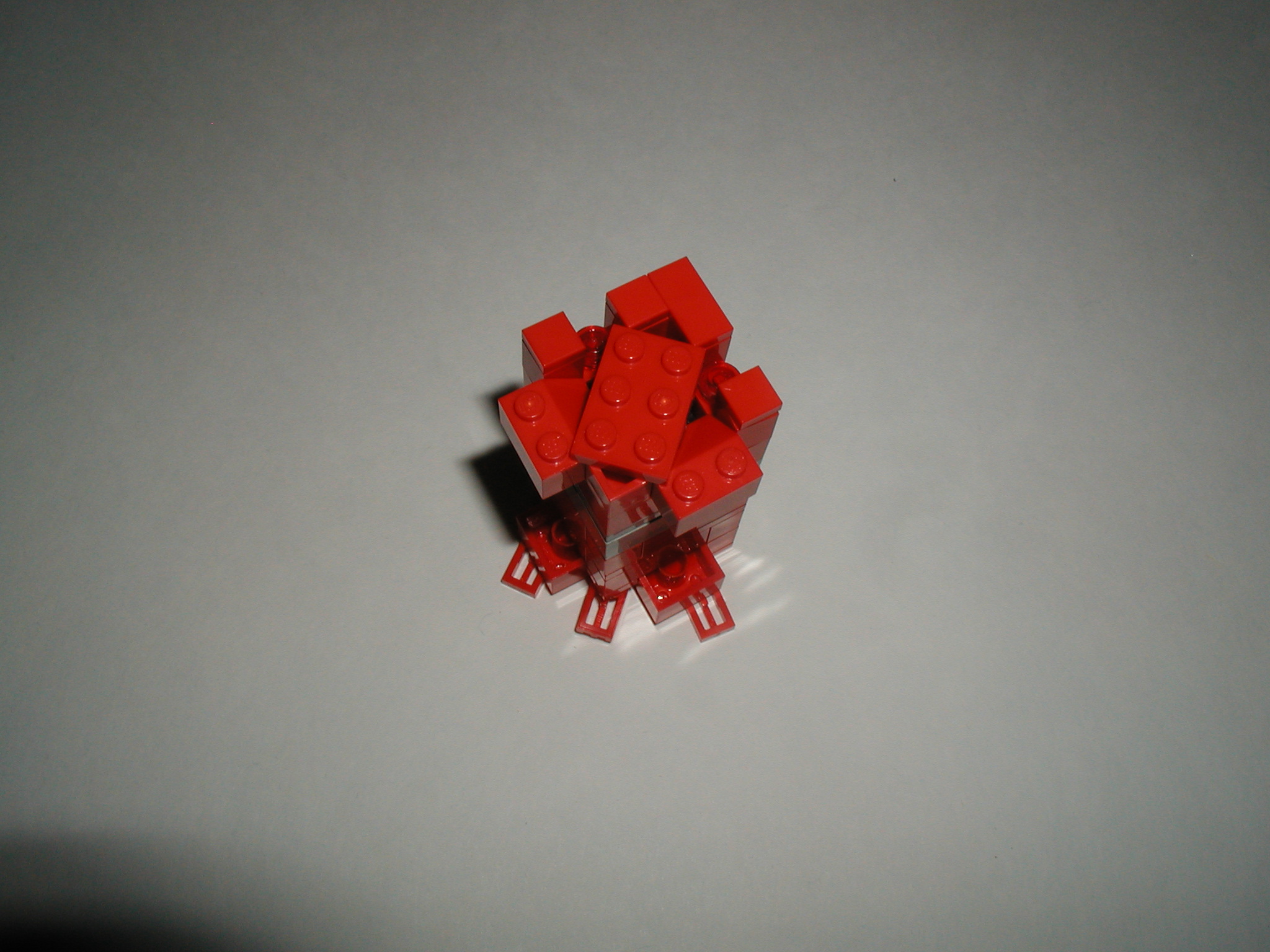 p1010212.jpg