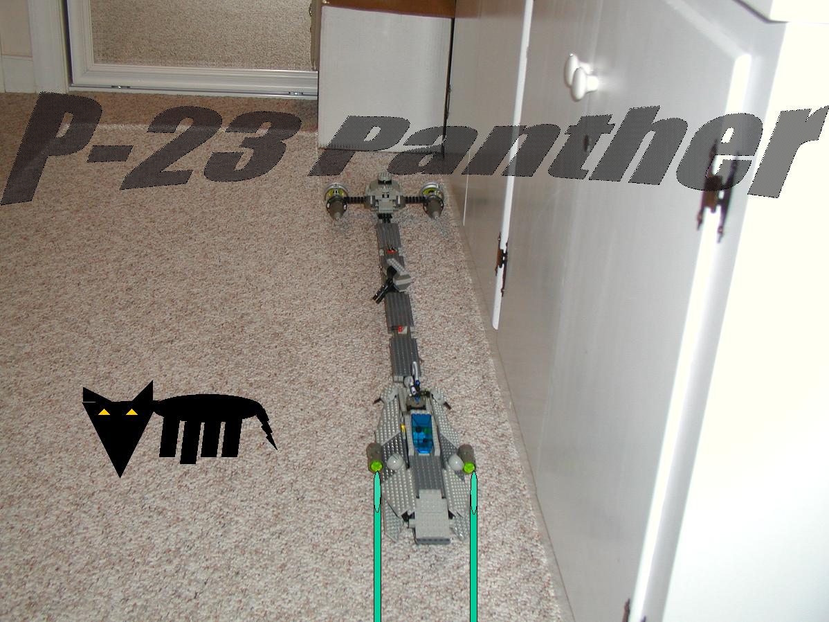 p23panther.jpg