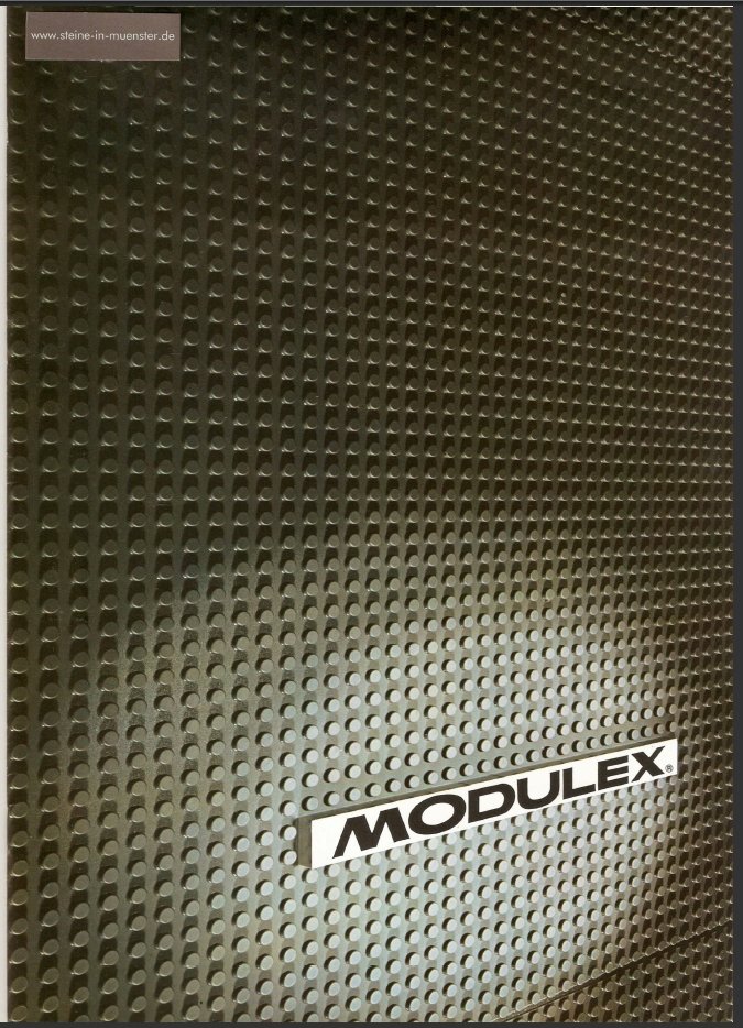 mv_was_ist_modulex.jpg
