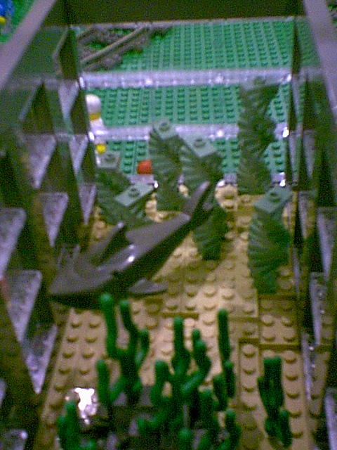 52.jpg