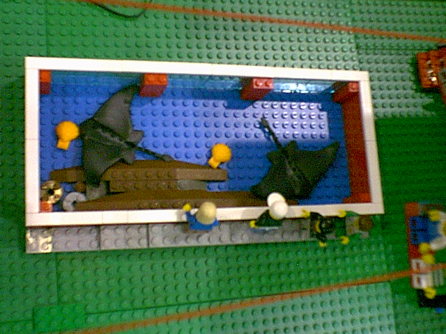 54.jpg
