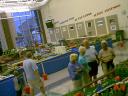 overview03.jpg