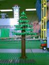 tree01.jpg