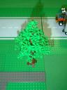 tree02.jpg