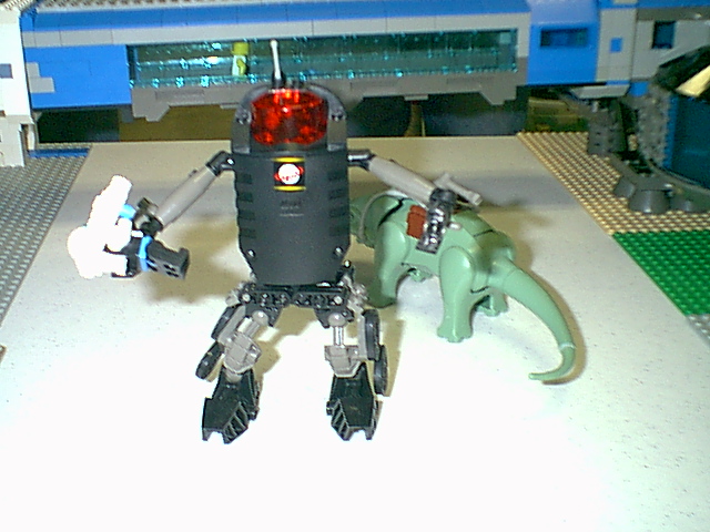 image039.jpg