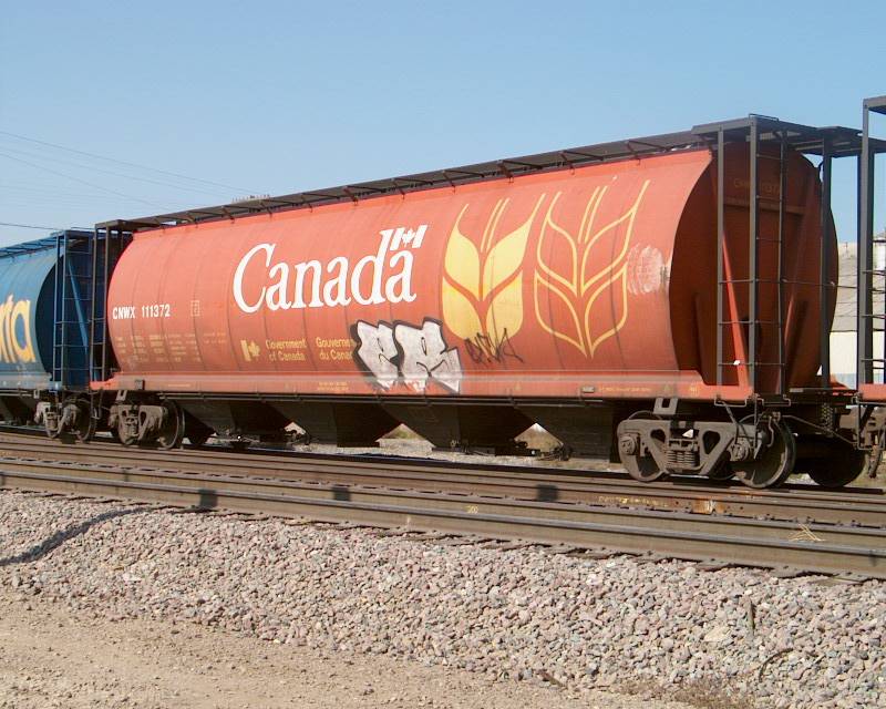grainhopper1.jpg