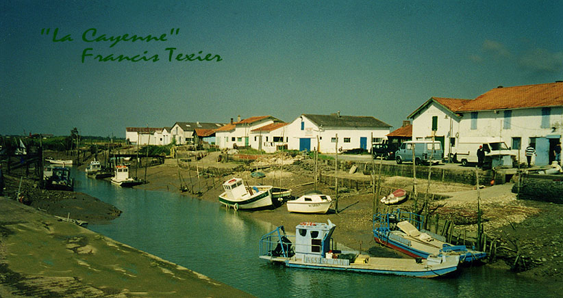 bateau002.jpg