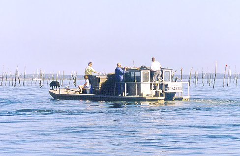 bateau003.jpg