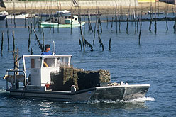 bateau004.jpg