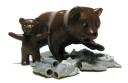 04_bear.jpg