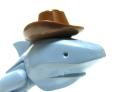 13_lookimwoodyhowdyhowdyhowdy.jpg