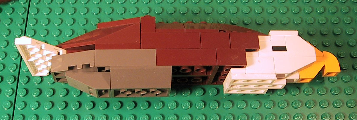 assemble2.jpg