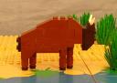 buffalo04.jpg