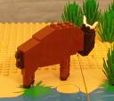 buffalo05.jpg