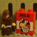 cow5.jpg