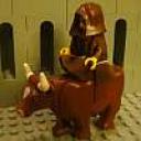 cow6.jpg
